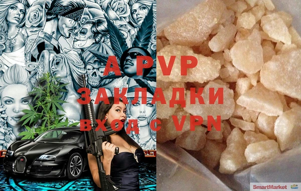стафф Арсеньев