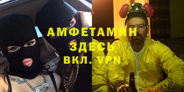 ГАЛЛЮЦИНОГЕННЫЕ ГРИБЫ Аркадак
