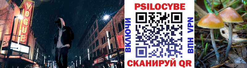 Псилоцибиновые грибы Psilocybine cubensis  магазин    Нефтекумск 